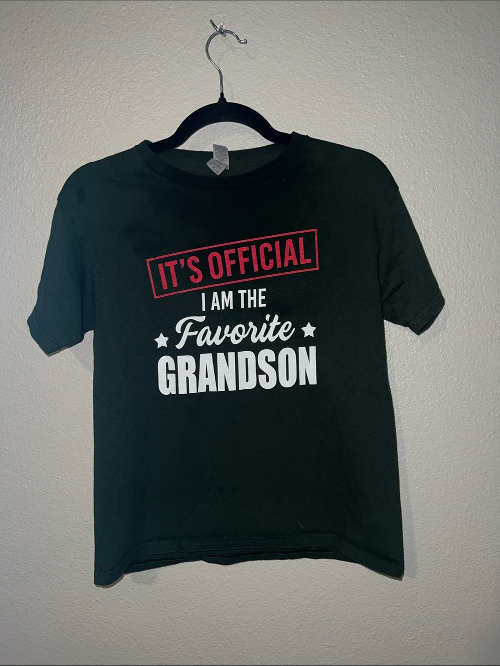 Gildan Kids T-Shirt "It's Official I Am The Favorite Grandson"
